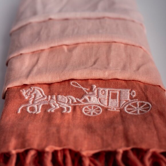 Coach Scarf | Long Scarf in Gradient Pink | Lightweight Designer Summer Scarf - Picture 5 of 9